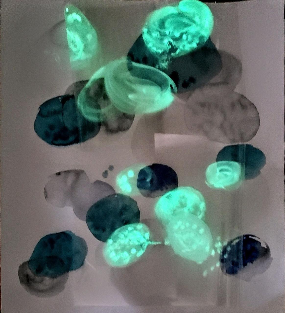 PHOTO-2024-02-14-07-05-49 3.jpg